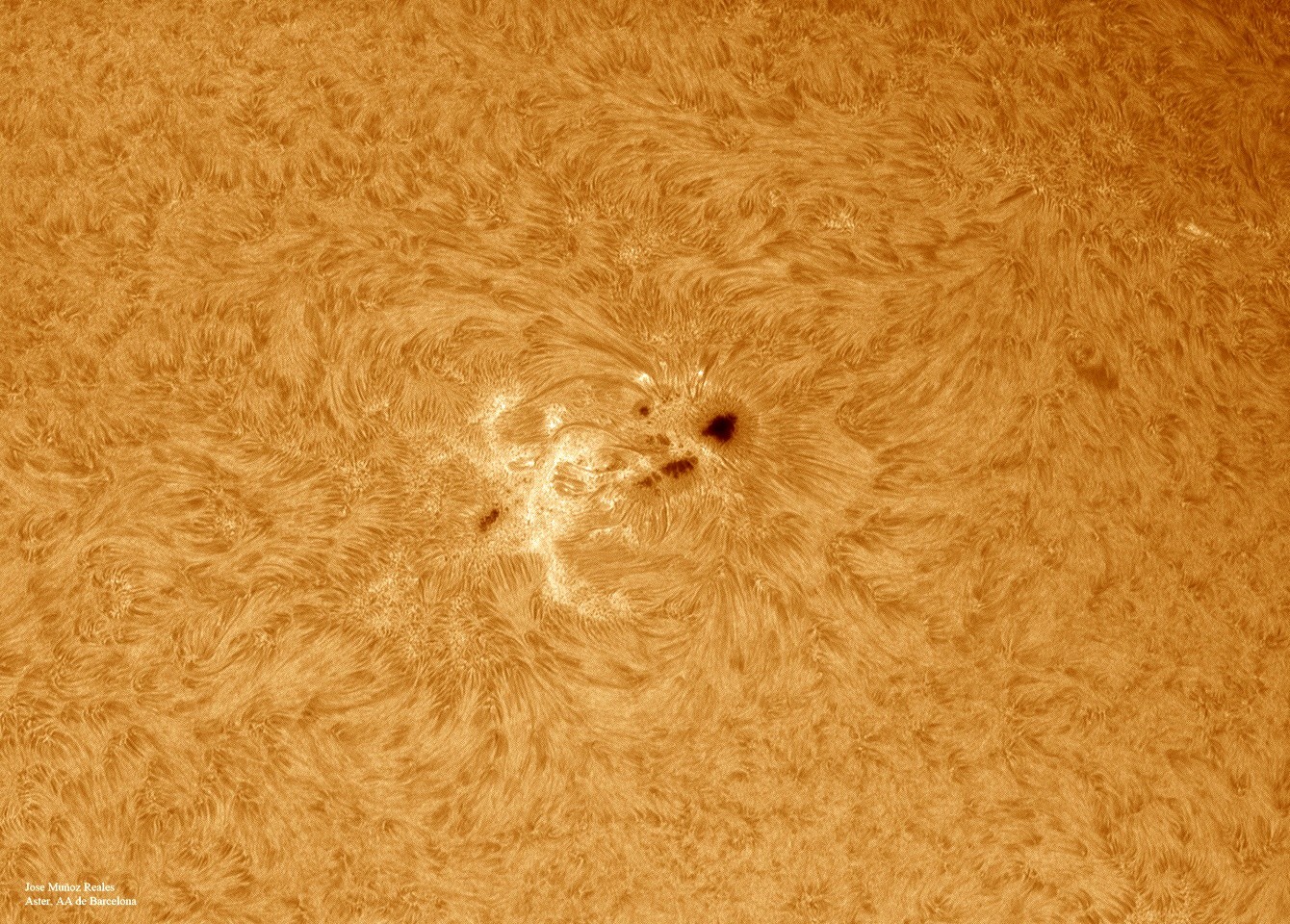 Filtro solare LUNT LS100FHa/B1200d1 H-Alpha